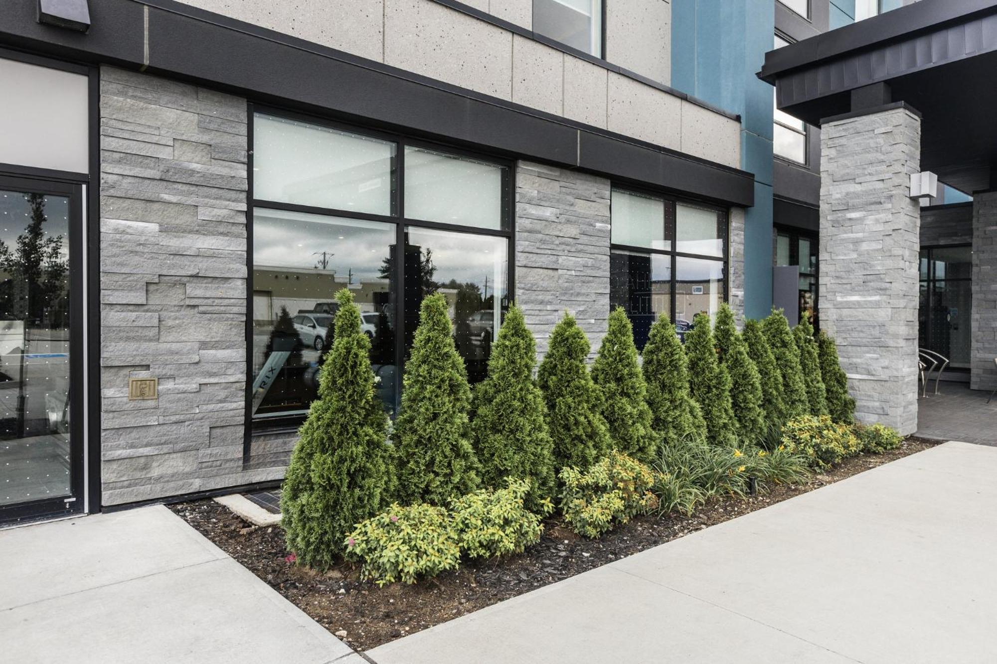 Holiday Inn Express & Suites - Toronto Airport South By Ihg Екстериор снимка